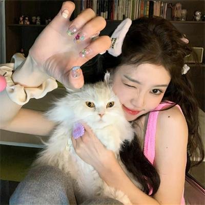 德云社乙未年封箱庆典2016